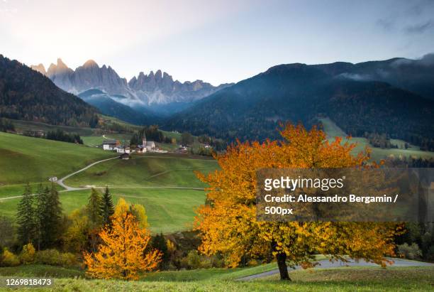 scenic view of field against sky during autumn, san pietro, italy - sig bergamin foto e immagini stock