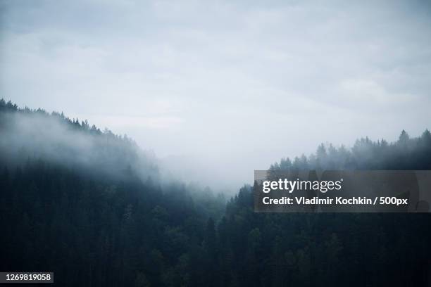 Pat Inzer Inzer Photos and Premium High Res Pictures - Getty Images