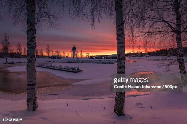 scenic view of snow covered field against sky during sunset, hortlax, sweden - soluppgång stock pictures, royalty-free photos & images