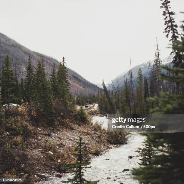 Kitimat View Kitimat Photos and Premium High Res Pictures - Getty Images