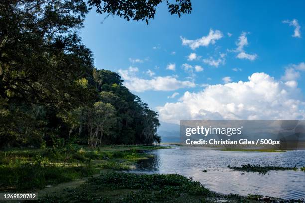 scenic view of lake against sky, agua azul rancho, honduras - honduras fotografías e imágenes de stock