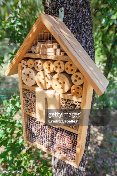 jardin - hôtel à insecte - hibernation stock pictures, royalty-free photos & images