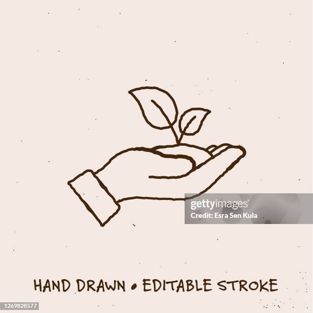 hand drawn ecology line icon with editable stroke - zero waste stock illustrations