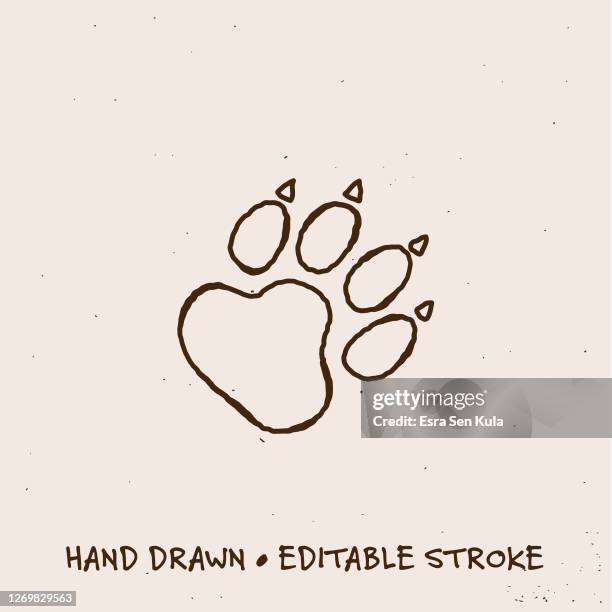 hand gezeichnet wild animal footpath line icon mit editierbaren strich - bear paw print stock-grafiken, -clipart, -cartoons und -symbole