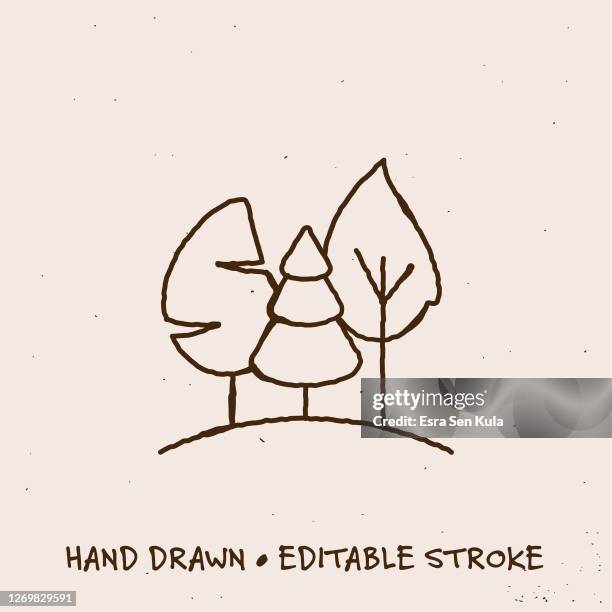 hand drawn forest line icon with editable stroke - tree drawing stock illustrations
