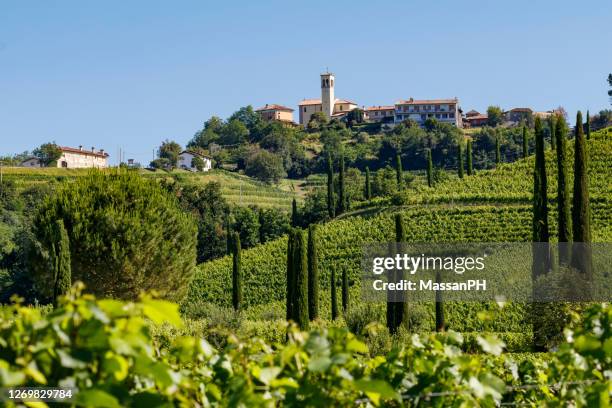 ruttars' vineyards in the north-eastern italian region called collio - friuli foto e immagini stock