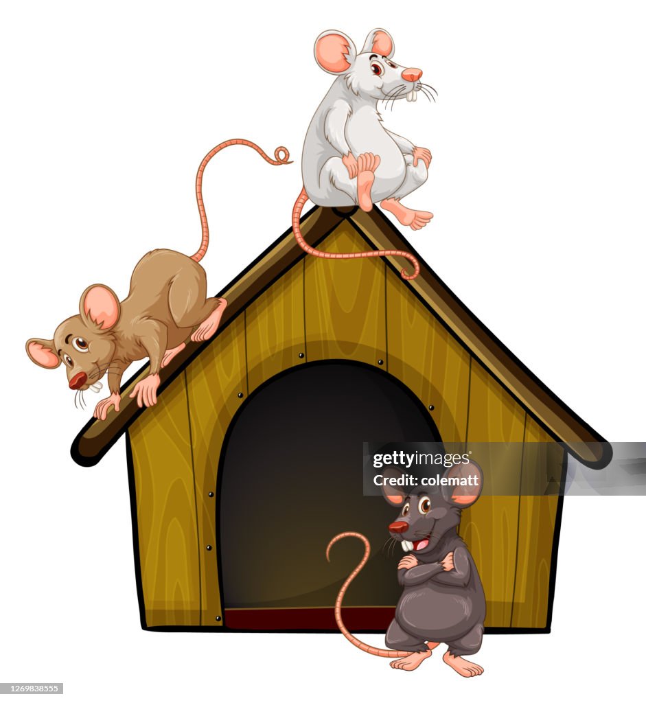 Mouse Friend In House Group Of Cute Mouses With Little House Isolated On White Background ...