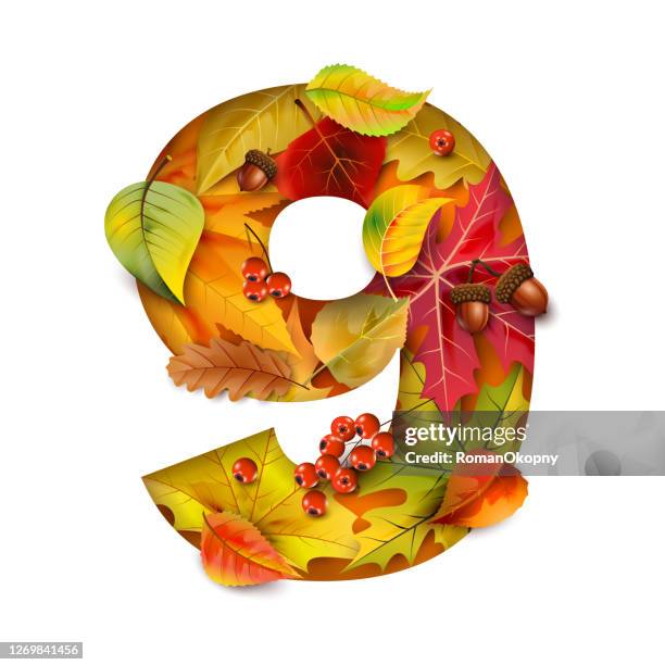 autumn stylized alphabet with foliage. digit9. - fall bouquet stock illustrations