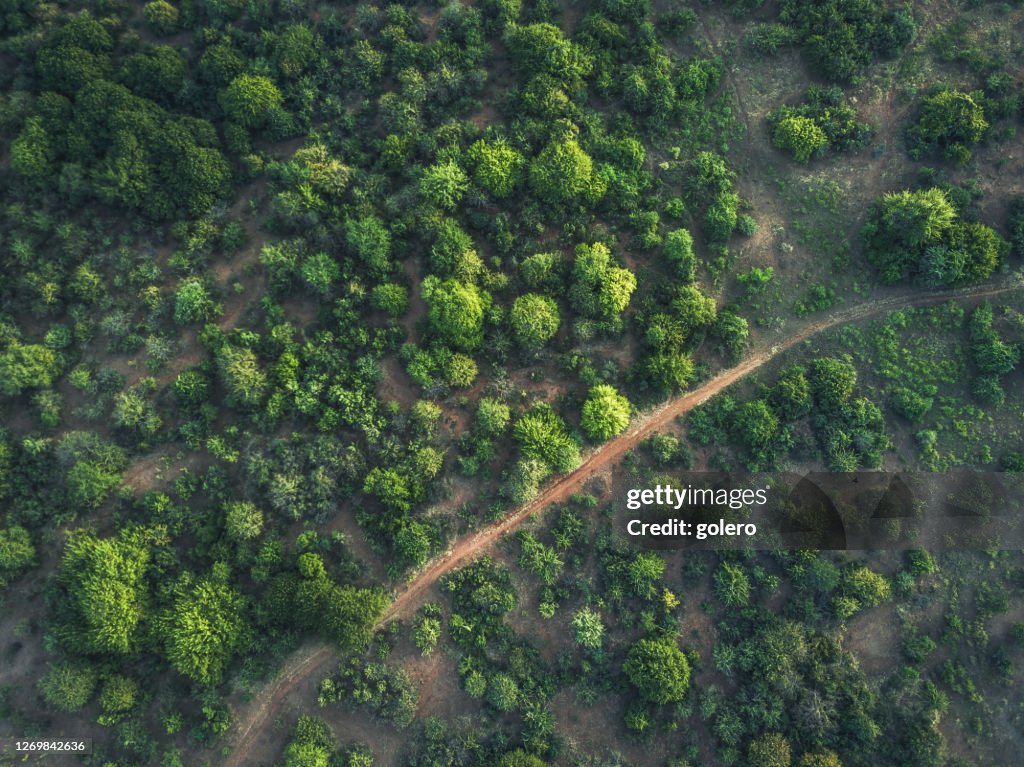 ザンビアの下のザンベジ地域の緑の茂みの土地の空中写真