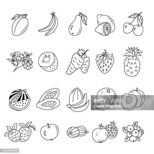 früchte und beeren editierbare strich doodles - papaya stock-grafiken, -clipart, -cartoons und -symbole