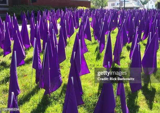 purple awareness - drug overdose stock pictures, royalty-free photos & images