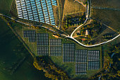 Renewable energies fields seen from above