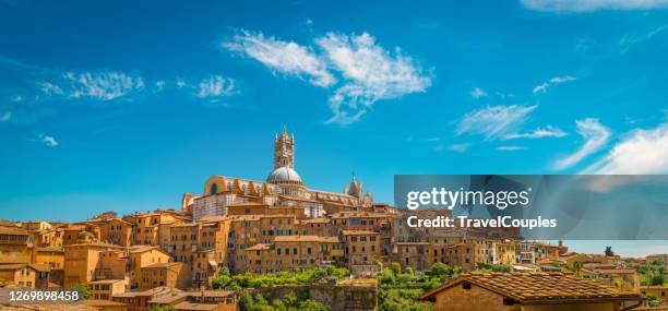 aerial view of the city of siena. - roma v siena stock-fotos und bilder