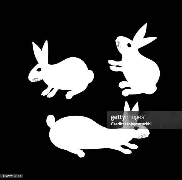 rabbit, - hare isolated stock illustrations