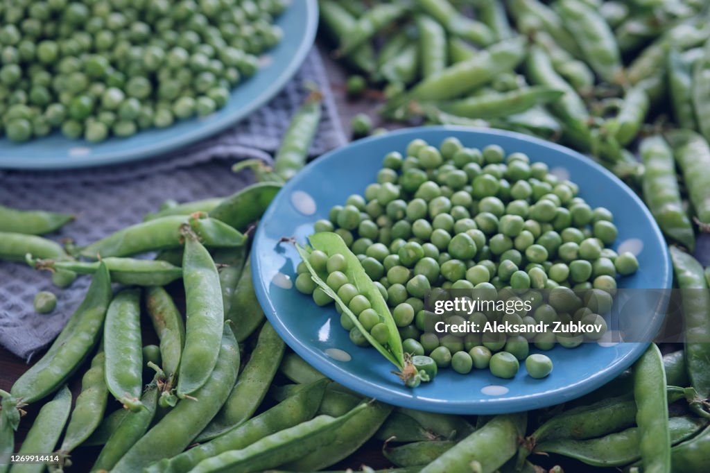 Fresh Juicy green Pea Pods, On a Blue Plate And against the background of a Wooden Table. Vegetarian, Vegan, And Raw Food. Natural Organic Farm Products.