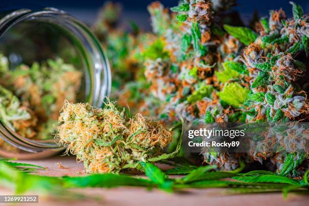 medical marijuana – marihuana flower, herbal cannabis - marijuana leaf stock pictures, royalty-free photos & images