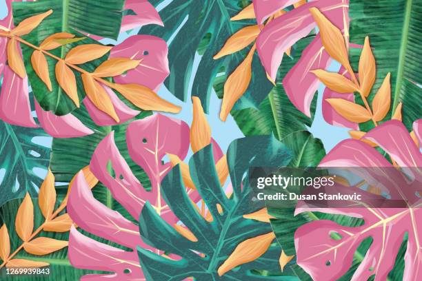 tropical floral background - carribean stock illustrations