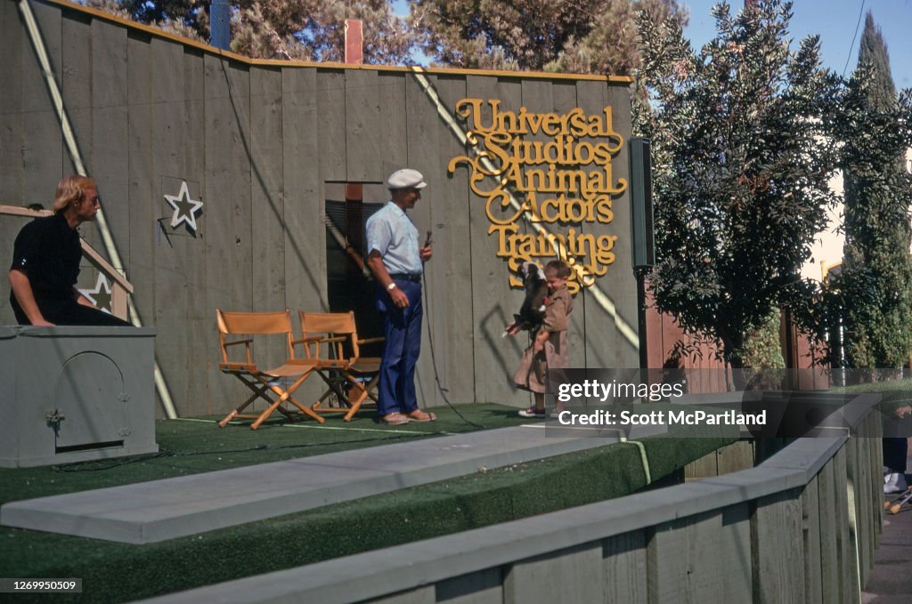Animal Actors At Universal Studios