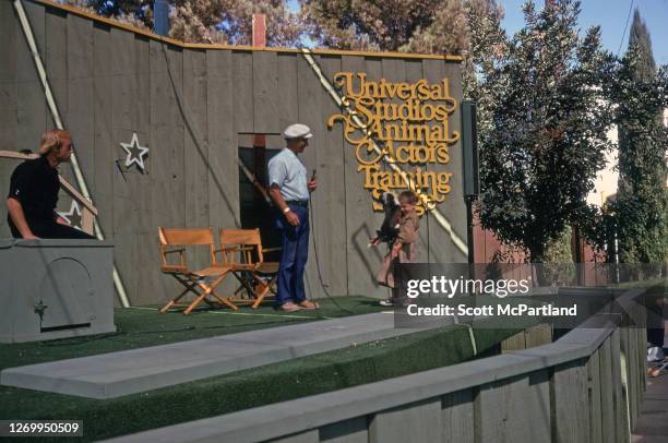 View of a young boy holding a dog, as two trainers, one standing and holding a microphone, coach him on a stage at Universal Studios Animal Actors,...