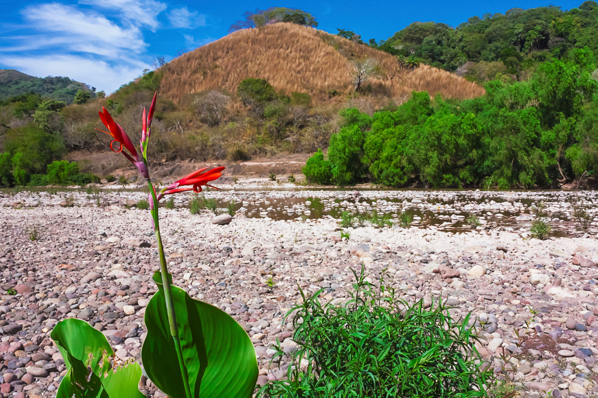 rio arriba culture