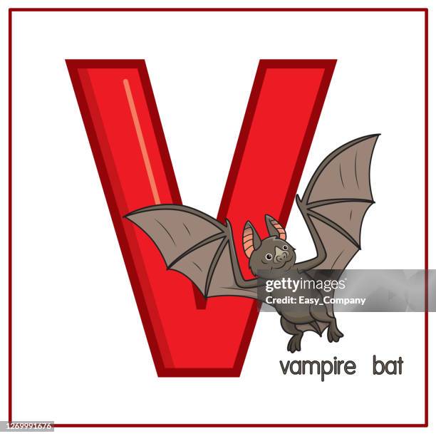白い背景に分離された吸血鬼コウモリのベクターイラスト子供たちが英語の文字を認識するための教育と学習メディアとして使用するための大文字vで または子供たちが自宅や学校で学ぶ ストックイラストレーション Getty Images 白い背景に分離された吸血鬼コウモリのベクターイラスト子供たちが英語の文字を認識するための教育と学習メディアとして使用するための大文字vで または子供たちが自宅や学校で学ぶ ストックイラストレーション Getty Images