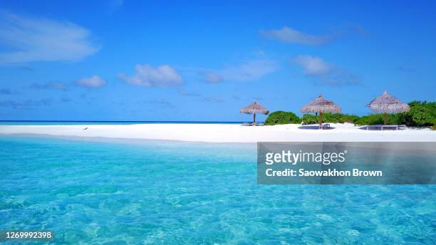 tropical island in maldives - sandbar stock pictures, royalty-free photos & images