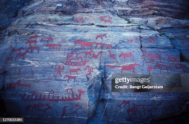 4-6.000 years old rockcarvings depicting a hunt and fishing culture in the north of sweden. up to 2.600 carvings are detected in the surroundings describing animals and hunting during the stoneage. a cultural heritage - stoneage stock pictures, royalty-free photos & images