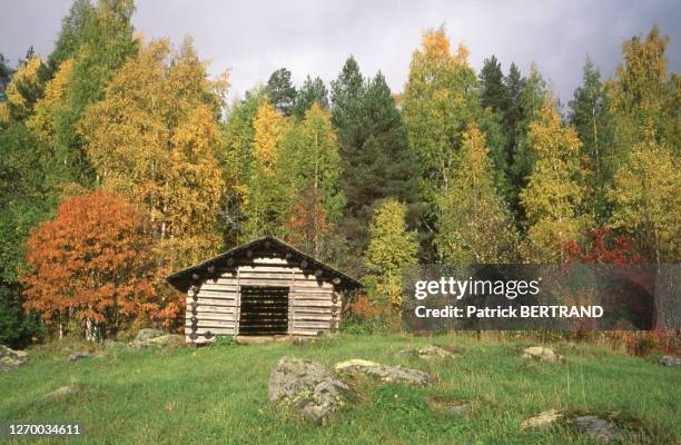 Lac Pielinen Photos and Premium High Res Pictures Getty Images