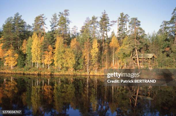 Rive d'un lac à Kuusamo, Finlande.