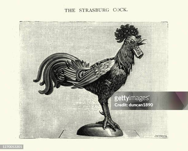 strasbourg automaton gilded rooster - rooster print stock illustrations