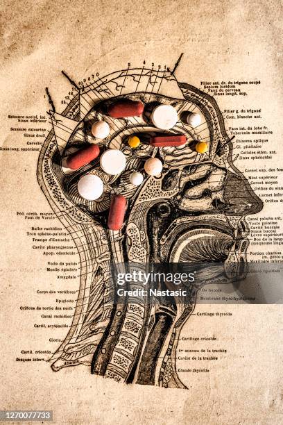 section de tête avec des pillules sur le cerveau - human nose anatomy photos et images de collection
