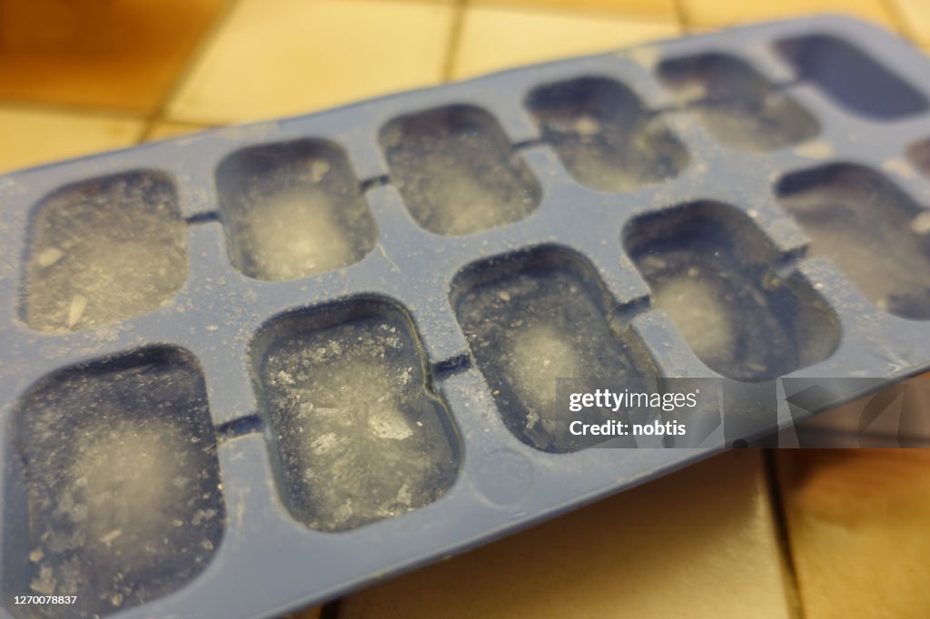 Ice cubes in an ice cube tray