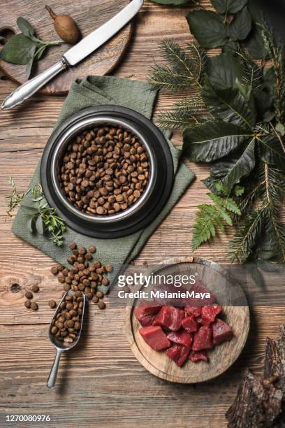 fresh dog food with bowl and meat - pet food stock pictures, royalty-free photos & images