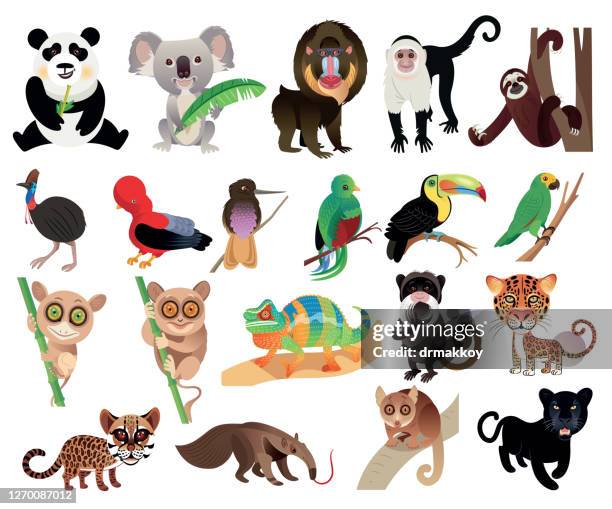 Ilustraciones de Especie En Peligro De Extinción - Getty Images Ilustraciones de Especie En Peligro De Extinción - Getty Images