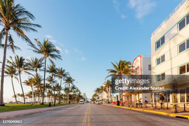 empty ocean drive in the morning, south beach, miami, usa - miami stock-fotos und bilder