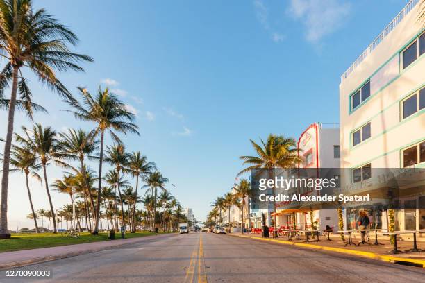 empty ocean drive in the morning, south beach, miami, usa - south florida v miami stockfoto's en -beelden
