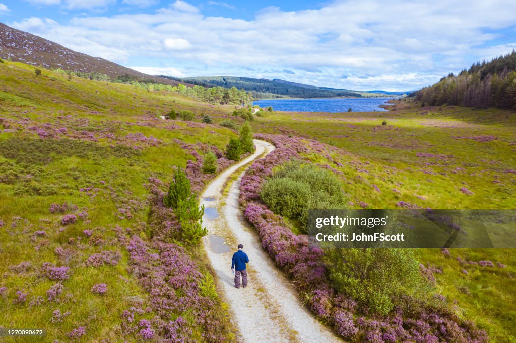 Die Drohnenansicht eines aktiven Seniors, der auf einem Feldweg steht und eine Karte in einem abgelegenen Teil von Dumfries und Galloway im Südwesten Schottlands hält