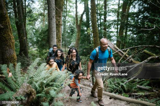 family enjoying hike on forest trail in pacific northwest - washington state trees stock pictures, royalty-free photos & images