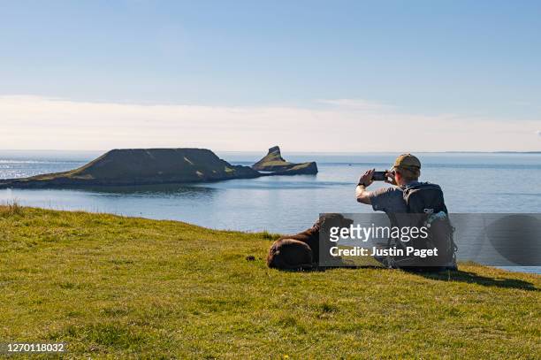 man and his dog look towards worm's head, rhossili bay - gower peninsula stock-fotos und bilder