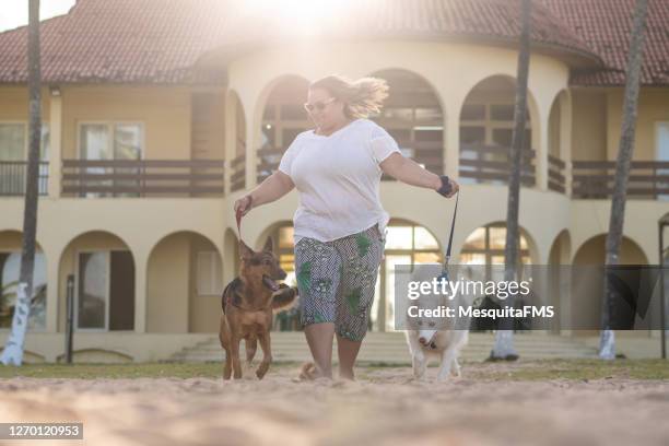 frau zu fuß hunde vor dem strandhaus - dicke frauen am strand stock-fotos und bilder