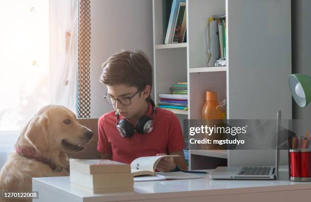 happy boy attending to online school class with his dog. - dog homework stock pictures, royalty-free photos & images