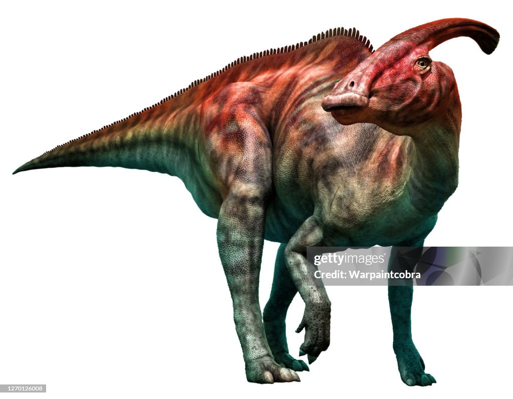 Parasaurolophus walkeri standing 3D illustration