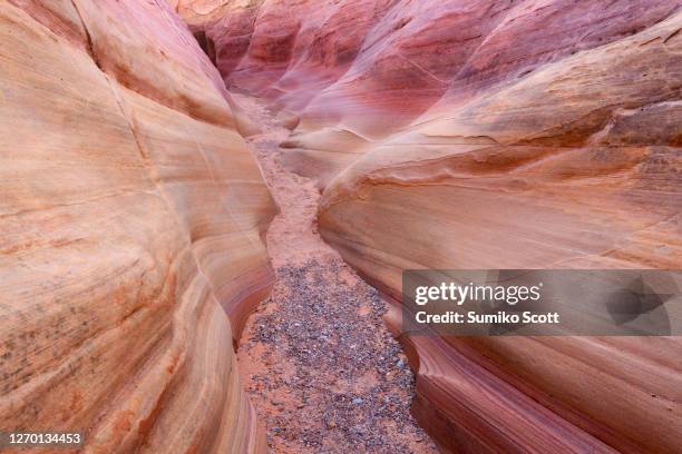 pink canyon, valley of fire state park, nevada - valley of fire state park stock pictures, royalty-free photos & images