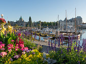 Victoria Harbour on a late sunny day afternoon in the summer