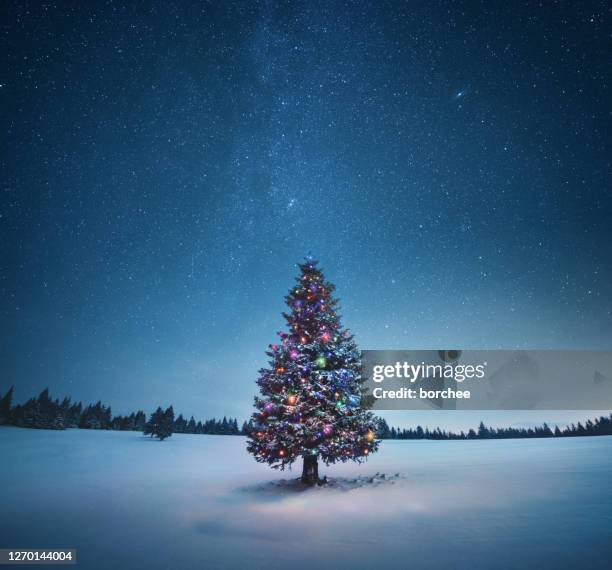 weihnachtsbaum - illuminated stock-fotos und bilder