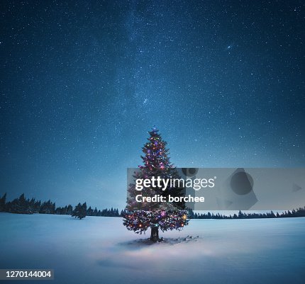 272 4点のクリスマスツリーのストックフォト Getty Images 272 4点のクリスマスツリーのストックフォト Getty Images