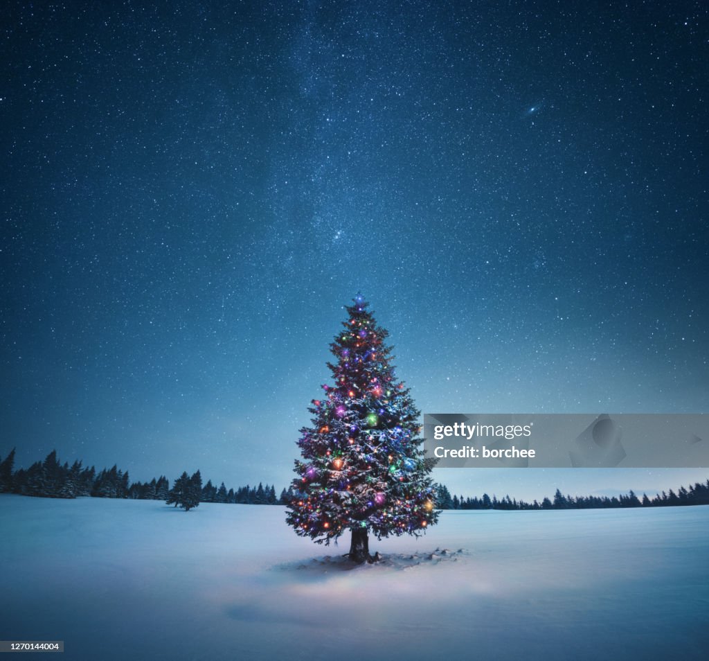 Kerstboom
