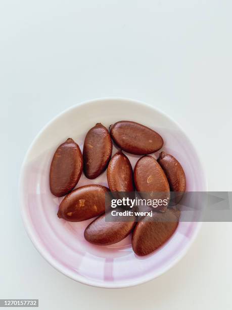 black sapote seeds - persimone stock-fotos und bilder