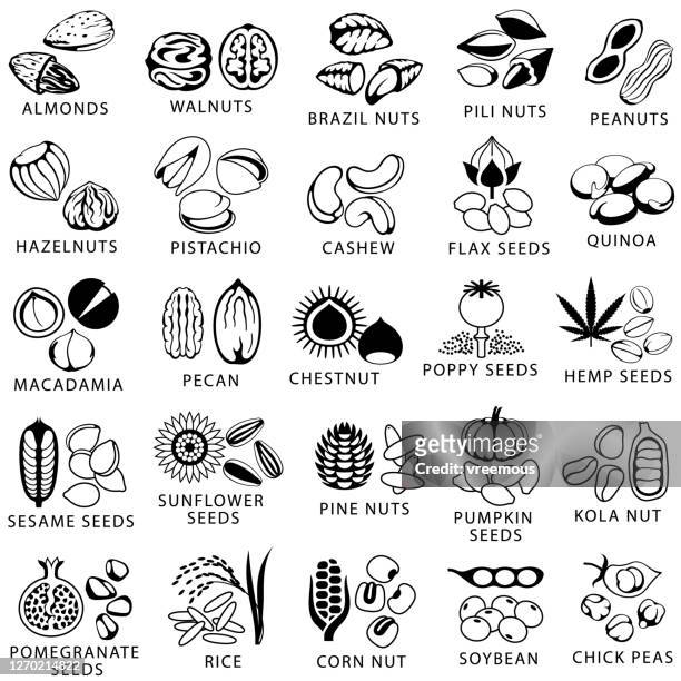 ilustraciones, imágenes clip art, dibujos animados e iconos de stock de conjunto de iconos de nueces y semillas - hemp seed