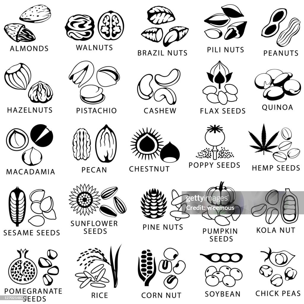 Nuts and Seeds Icon Set